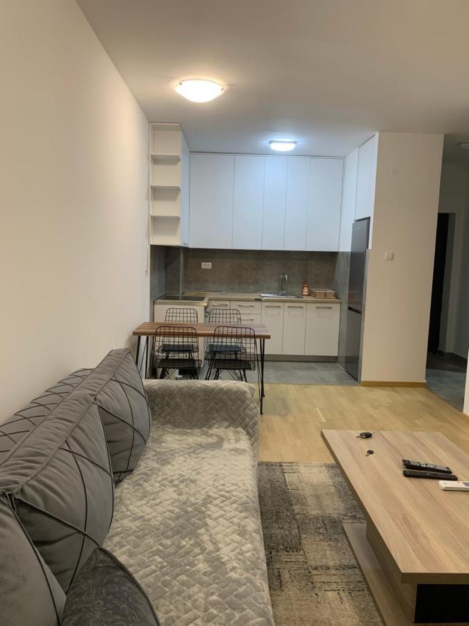 Apartment 45M2 Podgorica Bagian luar foto
