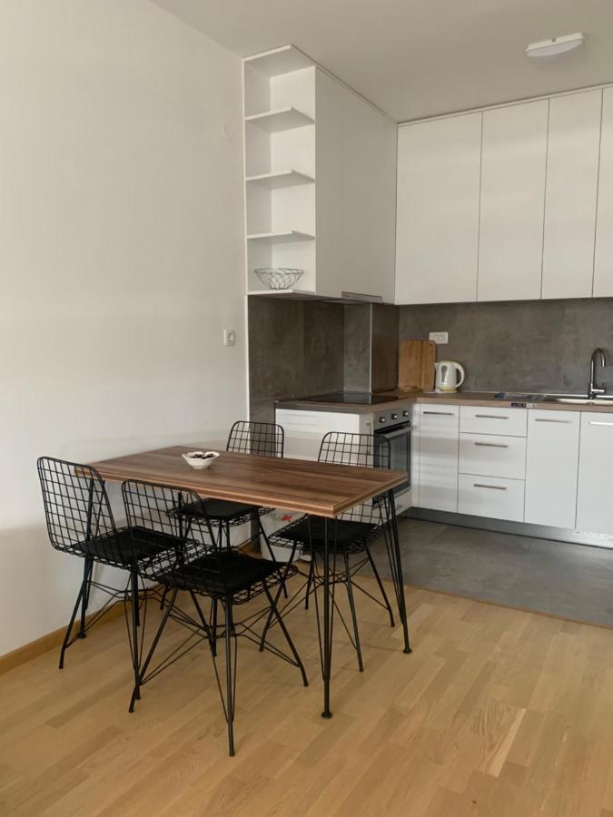 Apartment 45M2 Podgorica Bagian luar foto
